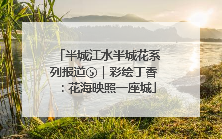 半城江水半城花系列报道⑤｜彩绘丁香：花海映照一座城