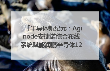 半导体新纪元：Aginode安捷诺综合布线系统赋能润鹏半导体12英寸集成电路生产线，携手共筑“芯”未来！