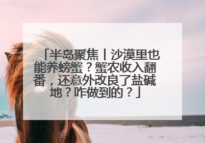 半岛聚焦丨沙漠里也能养螃蟹？蟹农收入翻番，还意外改良了盐碱地？咋做到的？