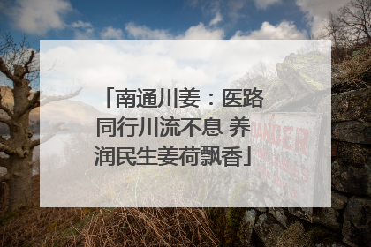 南通川姜：医路同行川流不息 养润民生姜荷飘香