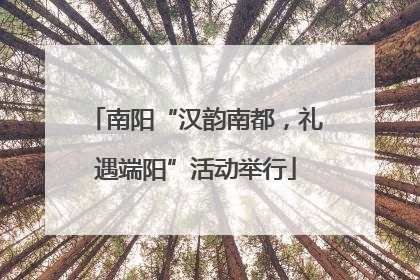 南阳“汉韵南都，礼遇端阳”活动举行