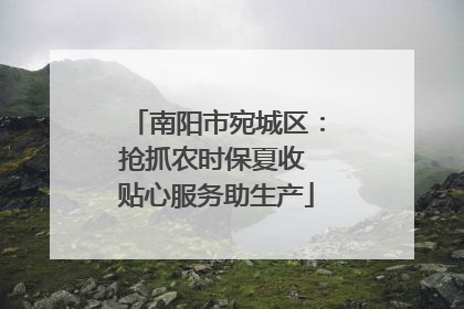 南阳市宛城区：抢抓农时保夏收 贴心服务助生产