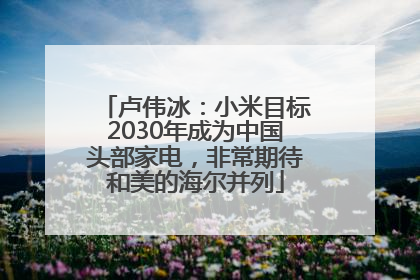 卢伟冰：小米目标2030年成为中国头部家电，非常期待和美的海尔并列