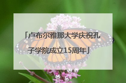 卢布尔雅那大学庆祝孔子学院成立15周年