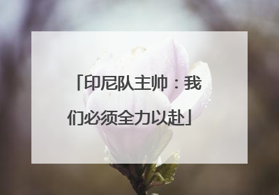 印尼队主帅：我们必须全力以赴