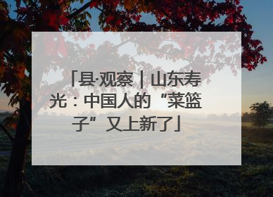 县·观察｜山东寿光：中国人的“菜篮子”又上新了