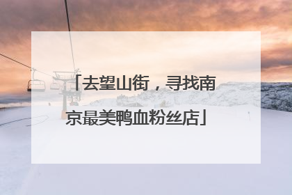 去望山街，寻找南京最美鸭血粉丝店