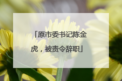 原市委书记陈金虎，被责令辞职