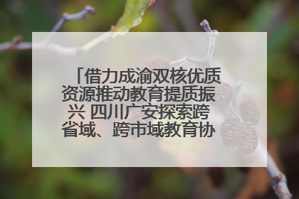 借力成渝双核优质资源推动教育提质振兴 四川广安探索跨省域、跨市域教育协同发展新路径