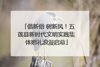 倡新俗 树新风！五莲县新时代文明实践集体婚礼浪漫启幕