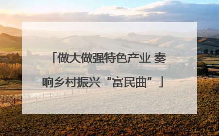 做大做强特色产业 奏响乡村振兴“富民曲”