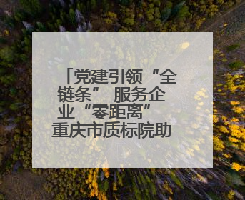 党建引领“全链条” 服务企业“零距离” 重庆市质标院助力新能源汽车产业链提升质量管理水平