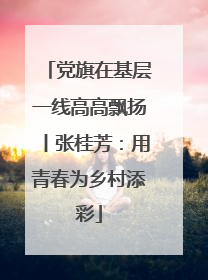 党旗在基层一线高高飘扬丨张桂芳：用青春为乡村添彩