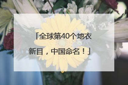 全球第40个地衣新目，中国命名！