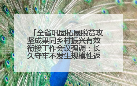 全省巩固拓展脱贫攻坚成果同乡村振兴有效衔接工作会议强调：长久守牢不发生规模性返贫致贫底线 王宁出席并讲话 王予波主持