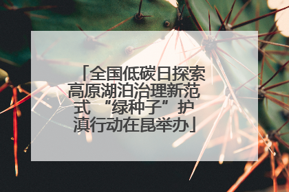 全国低碳日探索高原湖泊治理新范式 “绿种子”护滇行动在昆举办