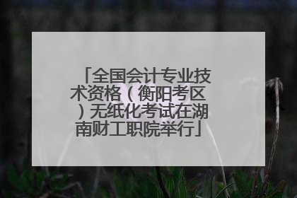 全国会计专业技术资格（衡阳考区）无纸化考试在湖南财工职院举行