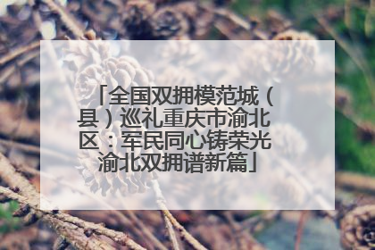 全国双拥模范城（县）巡礼重庆市渝北区：军民同心铸荣光 渝北双拥谱新篇