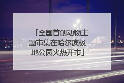 全国首创动物主题市集在哈尔滨极地公园火热开市