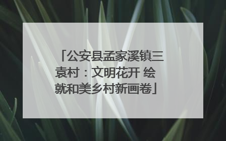 公安县孟家溪镇三袁村：文明花开 绘就和美乡村新画卷