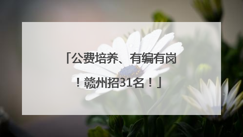 公费培养、有编有岗！赣州招31名！