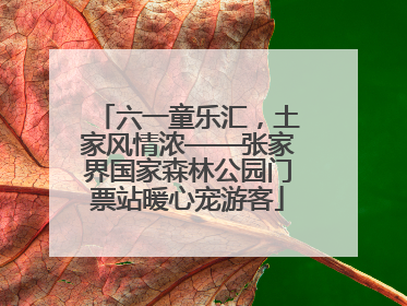 六一童乐汇，土家风情浓——张家界国家森林公园门票站暖心宠游客