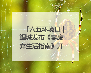 六五环境日｜鲤城发布《零废弃生活指南》开启露营新玩法