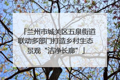 兰州市城关区五泉街道联动多部门打造乡村生态景观“洁净长廊”