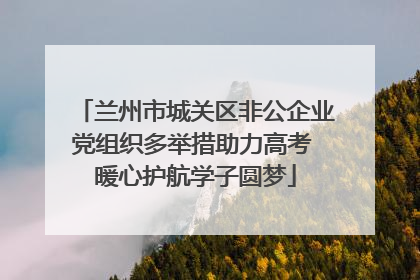 兰州市城关区非公企业党组织多举措助力高考 暖心护航学子圆梦