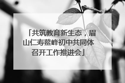 共筑教育新生态，眉山仁寿鳌峰初中共同体召开工作推进会