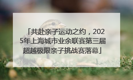 共赴亲子运动之约，2025年上海城市业余联赛第三届超越极限亲子挑战赛落幕