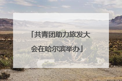 共青团助力旅发大会在哈尔滨举办