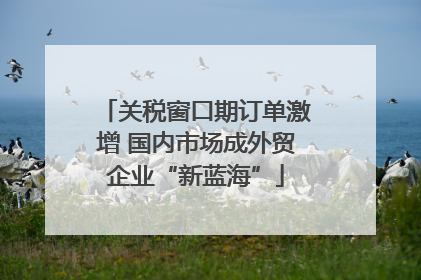 关税窗口期订单激增 国内市场成外贸企业“新蓝海”