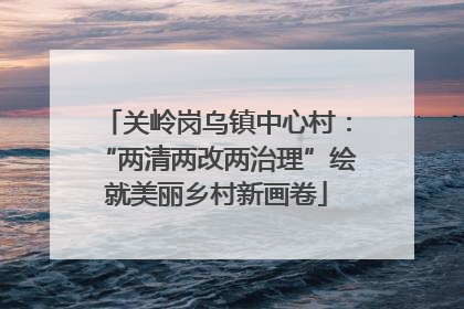 关岭岗乌镇中心村：“两清两改两治理”绘就美丽乡村新画卷