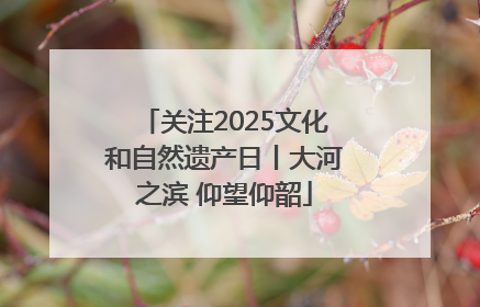 关注2025文化和自然遗产日丨大河之滨 仰望仰韶