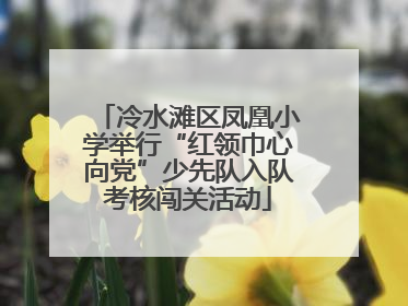 冷水滩区凤凰小学举行“红领巾心向党”少先队入队考核闯关活动