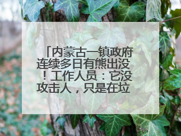 内蒙古一镇政府连续多日有熊出没！工作人员：它没攻击人，只是在垃圾桶翻找食物