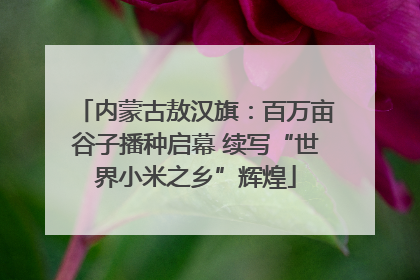 内蒙古敖汉旗：百万亩谷子播种启幕 续写“世界小米之乡”辉煌
