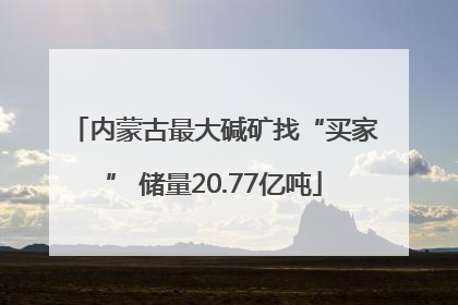 内蒙古最大碱矿找“买家” 储量20.77亿吨