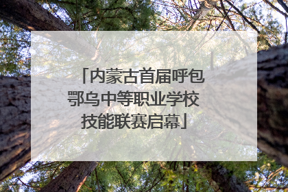 内蒙古首届呼包鄂乌中等职业学校技能联赛启幕