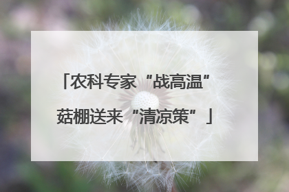 农科专家“战高温” 菇棚送来“清凉策”