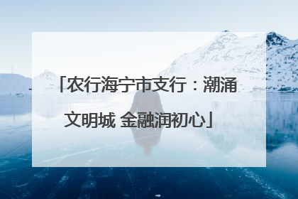 农行海宁市支行：潮涌文明城 金融润初心