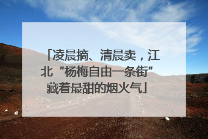 凌晨摘、清晨卖，江北“杨梅自由一条街”藏着最甜的烟火气