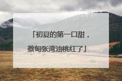 初夏的第一口甜，蔡甸张湾油桃红了