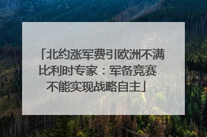 北约涨军费引欧洲不满 比利时专家：军备竞赛不能实现战略自主