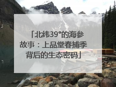 北纬39°的海参故事：上品堂春捕季背后的生态密码