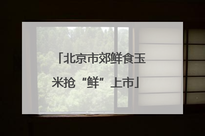 北京市郊鲜食玉米抢“鲜”上市