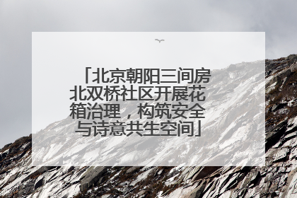 北京朝阳三间房北双桥社区开展花箱治理，构筑安全与诗意共生空间