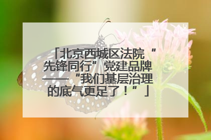 北京西城区法院“先锋同行”党建品牌——“我们基层治理的底气更足了！”