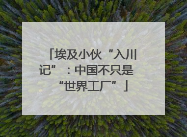埃及小伙“入川记”：中国不只是“世界工厂”